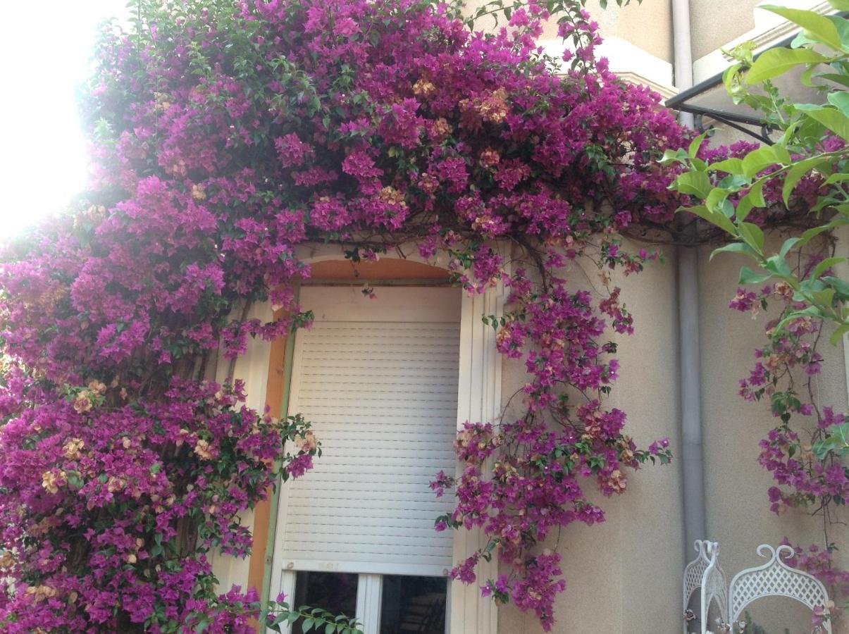 A L'Ombre Du Cedre Hotel อิแยร์ ภายนอก รูปภาพ